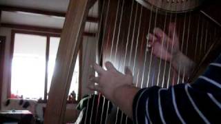 TamlinGlenlivet reels  practise harp video [upl. by Nesral515]