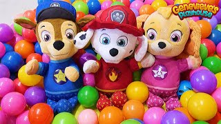 Paw Patrol Baby Pups Home Alone and get a New House Learning Videos for Kids [upl. by Verlee]