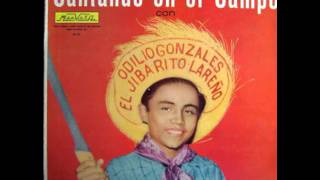 Amor A La Ligera  Odilio Gonzalez Audio [upl. by Wixted910]