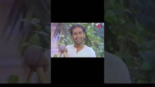 Jandhyala  Brahmanandam Funny Comedy Scenes  Telugu Movie Scene  GangothriMovies [upl. by Mallorie]