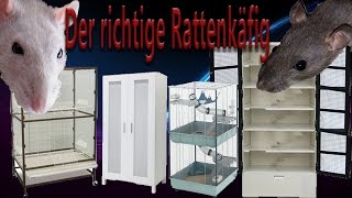 Rattenhaltung aber RICHTIG der Rattenkäfig [upl. by Aitnahc]