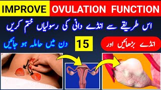 Improve Your Ovary Function To Get Pregnant Fertility Massage Cyst Treatment Ovulation Tips [upl. by Oned863]