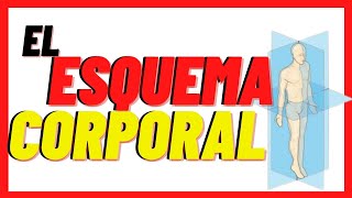 💢 El ESQUEMA CORPORALEtapas de Asentamiento y relación con el aprendizaje lectoescritor y numérico [upl. by Onaicnop929]