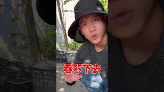 【老祖宗的智慧】看到這樣的絲瓜直接踩爛 天然菜瓜布製作大公開！｜絲瓜｜菜瓜布 [upl. by Adelric]