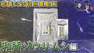 和香 ゾウリムシ 公式説明動画 めだか 針子稚魚 金魚 ミジンコ 熱帯魚 などの 初期餌 活餌 として多くご愛用の ゾウリムシ の使用方法 培養方法 を分かりやすく動画説明します。 [upl. by Adnovoj]