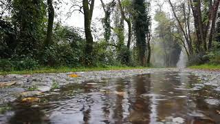 Som de Chuva leve e calma  Tela Preta  Som e musica para relaxar dormir [upl. by Barthol]