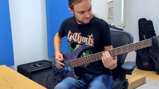 quotAwakening From Remnant Ashesquot  bass playthrough by Rich Gray [upl. by Schnorr]