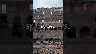 The Story of the Colosseum  The Flavian Amphitheater [upl. by Wiersma]