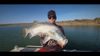 SOLID SALTWATER BARRAMUNDI threadfin and a rare saw shark Fishing the Karratha creeks [upl. by Kent553]