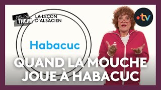 La leçon dalsacien  quotquand la mouche joue à Habacuc le paysan se préoccupe de son foinquot [upl. by Rosenzweig]