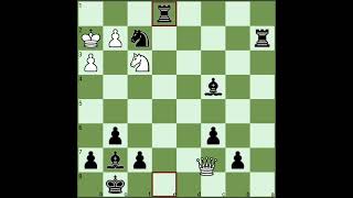 Selected Great Chess Games Collection Donald Byrne vs Robert James Fischer 1956 [upl. by Aruol586]