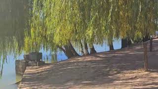 Robinvale Riverside Caravan Park Victoria [upl. by Reider791]