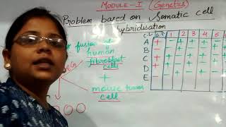 Somatic cell hybridization [upl. by Knowling785]
