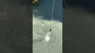 CRAZIEST Bungee Jump Ever 😂 bunggeejump [upl. by Justina]