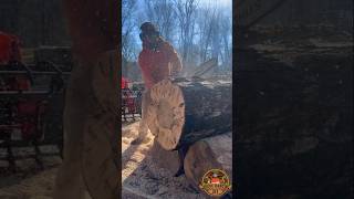 DESTROYING a SAWLOG for FIREWOOD [upl. by Akimyt]