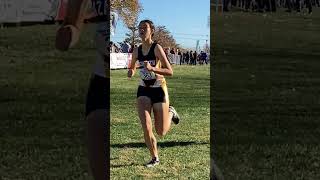 2024 PIAA Cross Country Championships Finish Line Video Girls AA [upl. by Ruthe822]