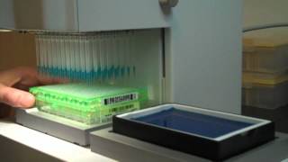 VIAFLO 96 amp Seahorse Bioscience XF96 Flux Assay Kits [upl. by O'Gowan433]