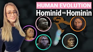 Human Evolution Explained  Hominid amp Hominin Difference [upl. by Delaryd]