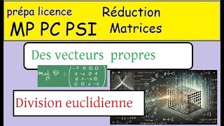 Elements propres des endomorphismes une division euclidienne et ses vecteurs propres [upl. by Adnolrehs946]