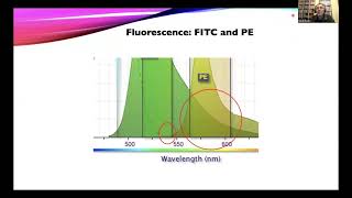 OpenFlow Multicolor Flow With Compensation Using a CytoFLEX LX [upl. by Noirb116]