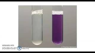 Estimation of protein by biuret methods [upl. by Anwahsed]