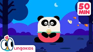 ACTION SONGS FOR KIDS 🙌🎶 Nursery Rhymes  Lingokids [upl. by Trenna]