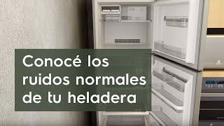 Preguntas frecuentes sobre tu heladera Electrolux [upl. by Jaban]