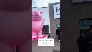 MampS Friern Barnet Percy Pig Appearance [upl. by Treharne315]