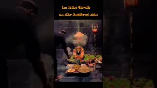 ఓం నమః శివాయ Om Nama Shivayakarthikasomavaramఓం నమో వెంకటేశాయ నమః venkateswara swamy devotionall [upl. by Dusty897]