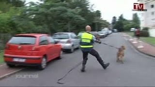 Hoscar la Rolls des chiens de gendarmerie [upl. by Killarney]