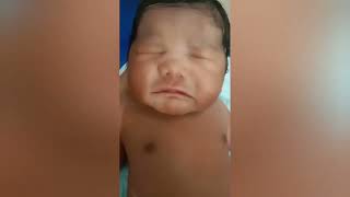 new video welcome baby littile champ cuteyoutubeshorts chitrachourasia 7510 [upl. by Bernita]