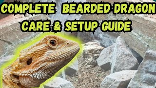 Complete Bearded Dragon Care amp Setup Guide [upl. by Photina]