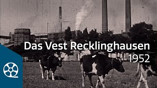 Das Vest Recklinghausen  Nachkriegszeit und Wirtschaftswunder 1952  FILMSCHÄTZE [upl. by Willtrude517]