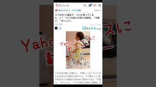 【パパが帰ってきた時の反応】Tiktokでプチバズリ😎Yahooニュースに載りました！1歳 yahoo ニュース 癒し 西野カナ NO1 [upl. by Aimit]