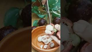 Mangosteen shakeshakes mangosteen [upl. by Nuj]