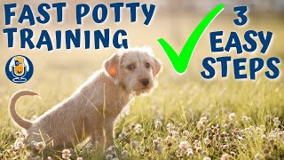 Potty Train Your Puppy in a Week Easy 3 Step Process 48 [upl. by Gerik]