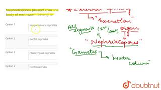 Nephridiopores present over the body of earthworm belong to [upl. by Bostow616]
