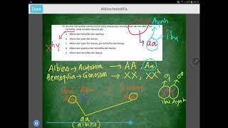 Soal HOTS  Albino Vs Hemofilia  Hereditas Manusia  Kelas XII [upl. by Eninnaj]