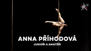 Anna Příhodová  Czech Pole Art 2024  Junioři A Amatéři [upl. by Iuqcaj]