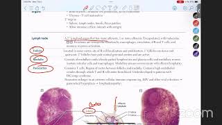 Immunology Class1 [upl. by Nannaihr]