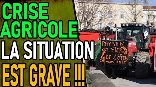 CRISE AGRICOLE LA SITUATION EST GRAVE [upl. by Enenej]