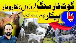 Kiya Goat Farming Floop Business Ha  Goat Farming [upl. by Paapanen144]