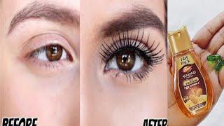 How to grow eyelashes and eyebrows longer and thicker at home  Eyebrows and eyelashes growth [upl. by Idaf]