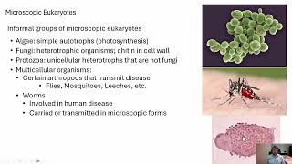 Microbiology Eukaryotic Microbes [upl. by Nitsej]