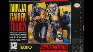 Ninja Gaiden Trilogy OST  World Enslaved [upl. by Aissatan]