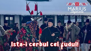 Marius Zgâianu  Istai cerbul cel fudul [upl. by Noskcaj457]