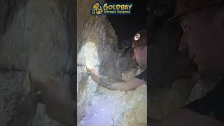 Why Some Prospectors Always Find Gold shortsvideo shorts [upl. by Dougie]