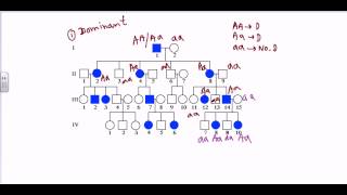 Pedigree analysis sex linked dominant pedigree [upl. by Coridon595]