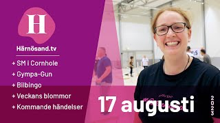 HärnösandTV  17 augusti 2023 [upl. by Delwin]