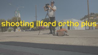 shooting ilford ortho plus 80 in 4x5 [upl. by Mikey]